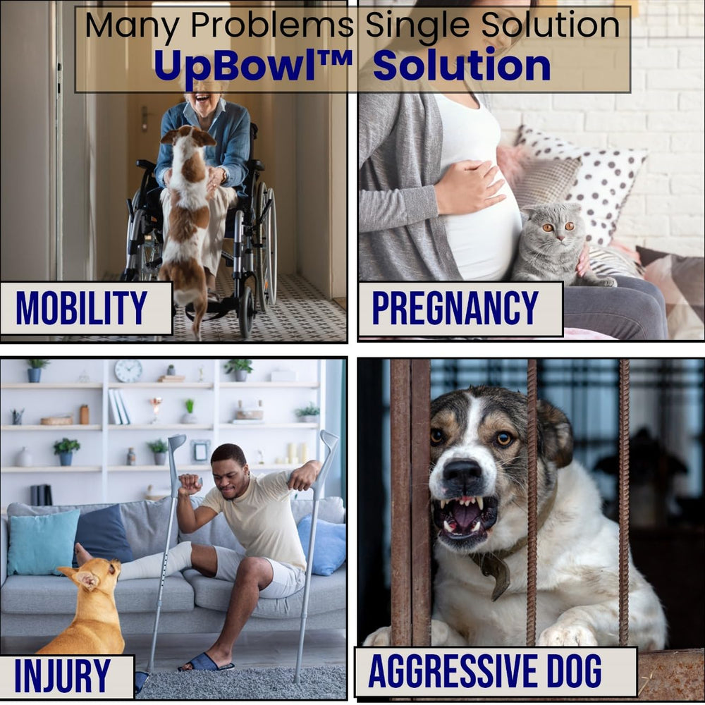 UpBowl bebedero estable, rellena y coloca agua con seguridad