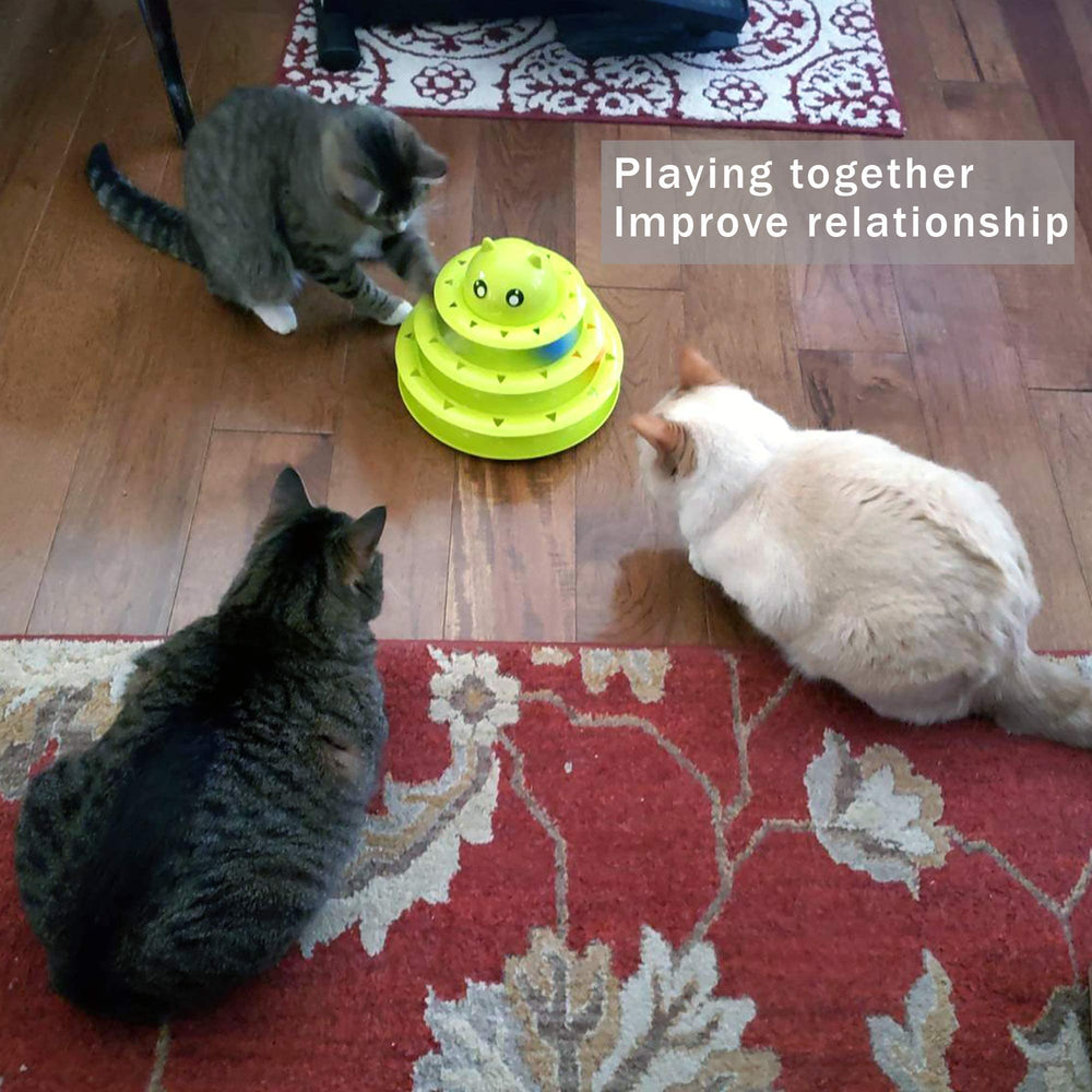UPSKY Dos-gatos-jugando, mejora la socialización felina