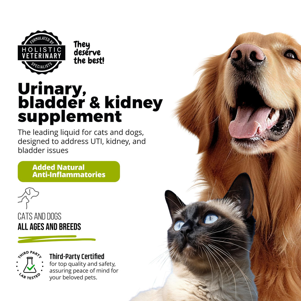 UroMAXX glucosamina: complemento para sostener articulaciones y bienestar urinario.