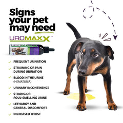 UroMAXX gomitas suaves: masticables fáciles para el cuidado diario urinario de mascotas.