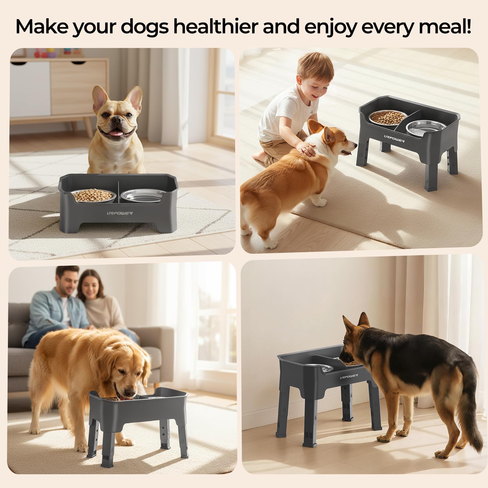 URPOWER conjunto para perros activos, ideal para suelos de madera o baldosa.