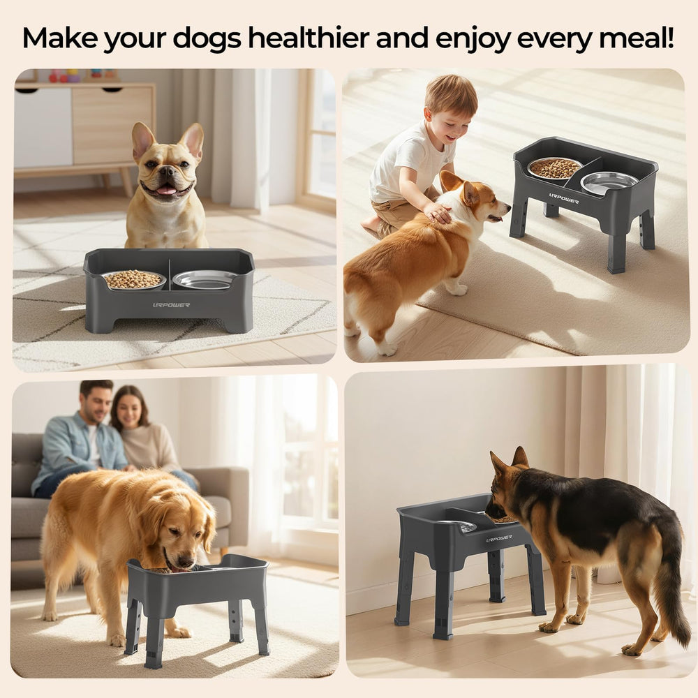 URPOWER conjunto para perros activos, ideal para suelos de madera o baldosa.