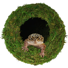 USMOLA grotte mousse naturelle dans le terrarium, habitat discret et confortable.