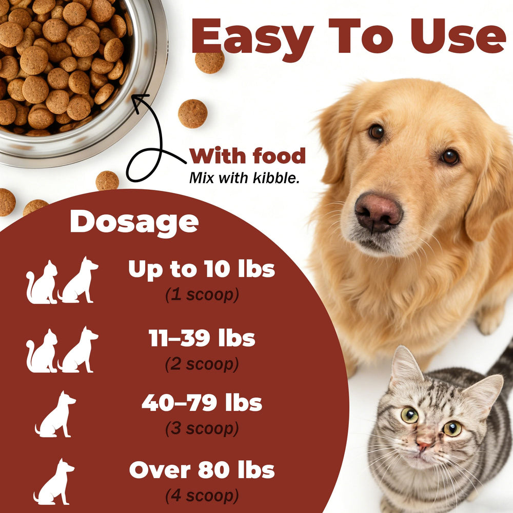 VivaElixir uso fácil para perros y gatos en cada comida