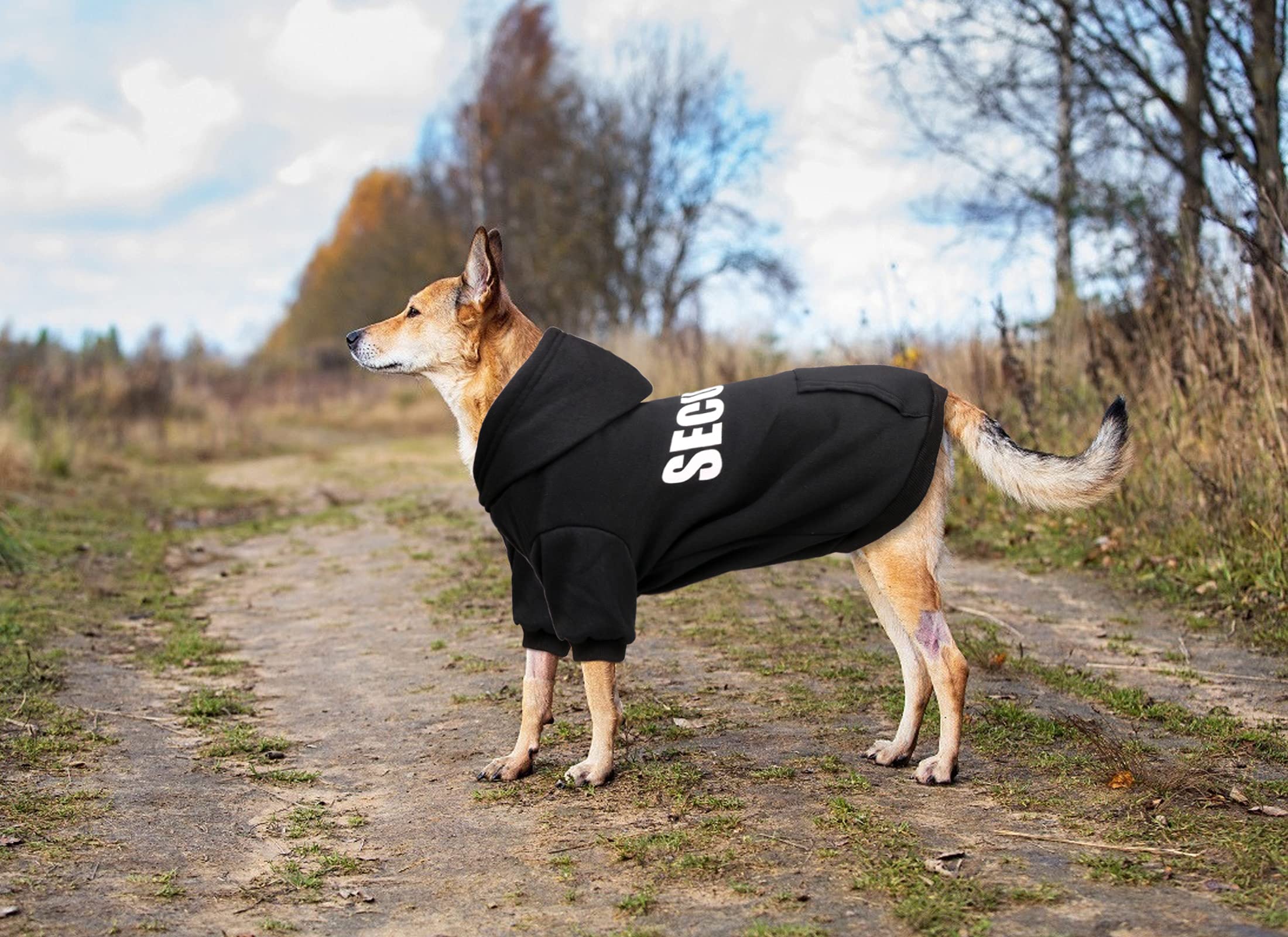 Uteuvili sudadera con capucha, ideal para días fríos y paseos.