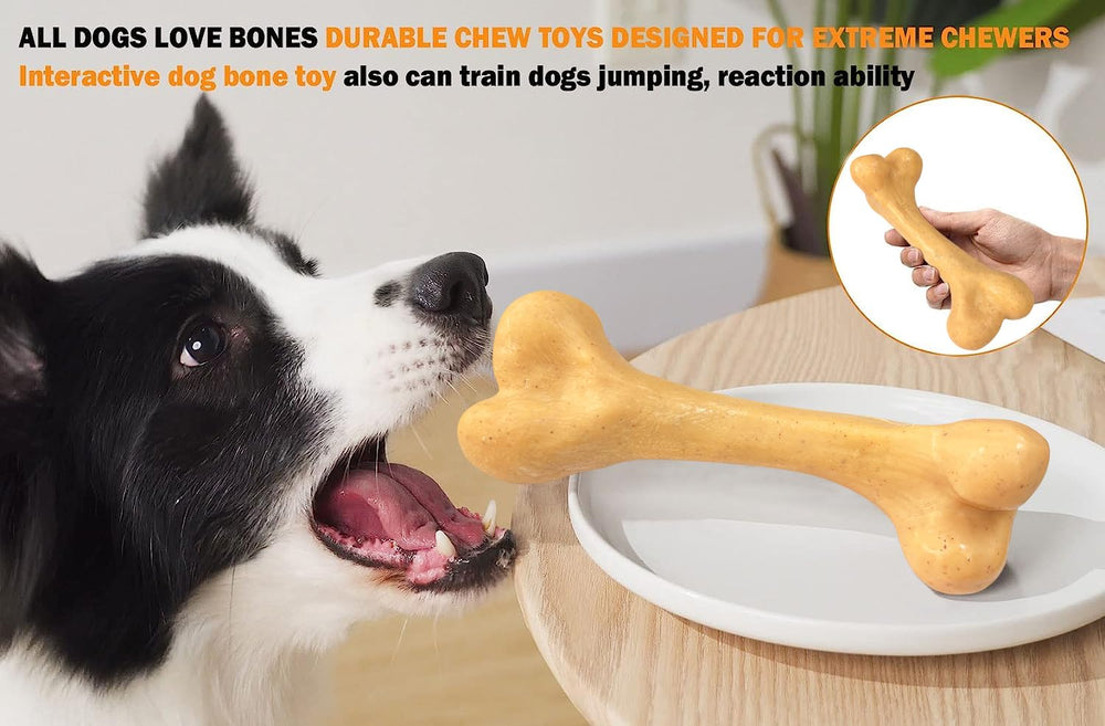 UXVA Juguete para uso interior y exterior, ayuda a mantener al perro activo en casa y fuera.