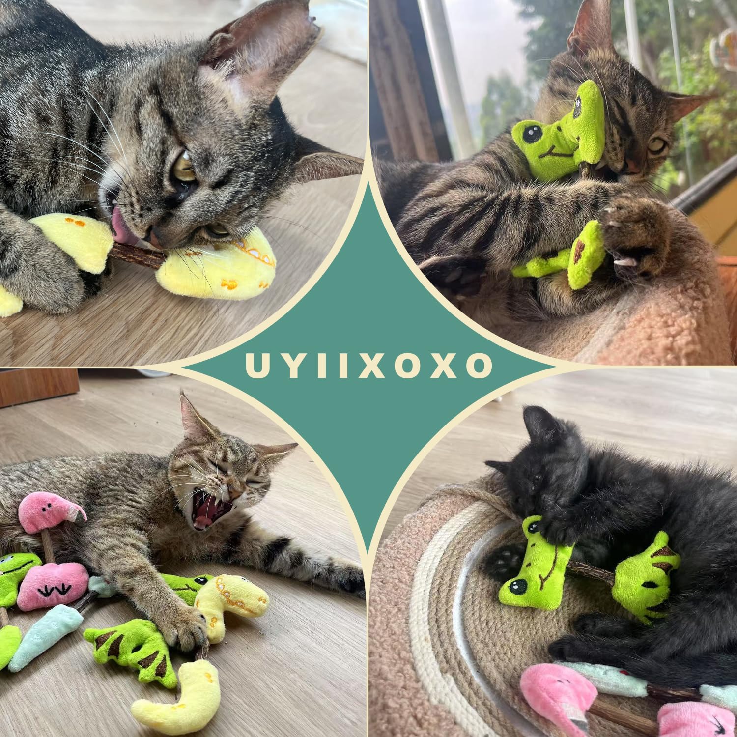 Set de juguetes para interiores de uyiixoxo: fomenta ejercicio y estimulación mental.