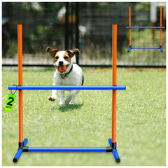 Uzpomel entrenamiento interior-exterior ofrece versatilidad para perros de todos los tamaños.