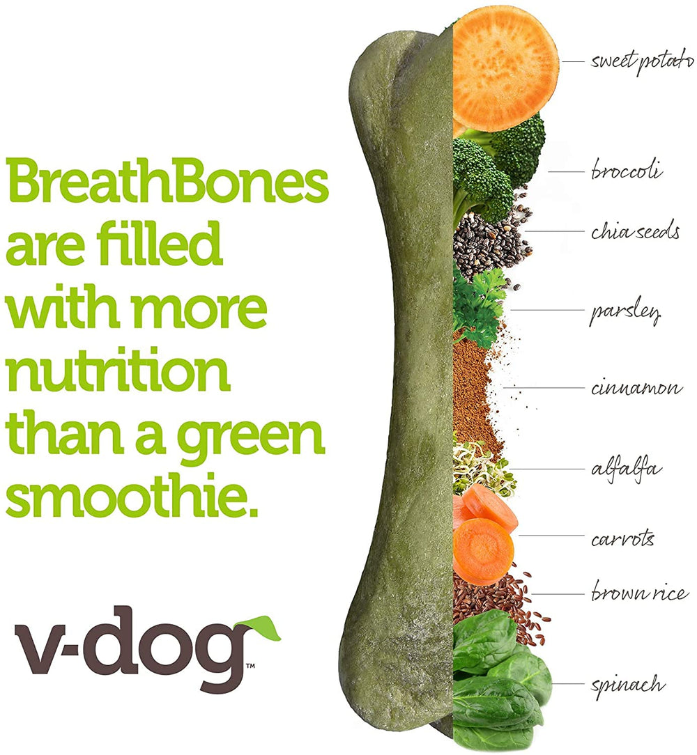 Brocoli riche en antioxydants pour la vitalité canine.