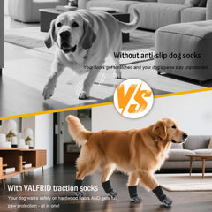 Calcetines VALFRID protegiendo las patas en interiores y exteriores