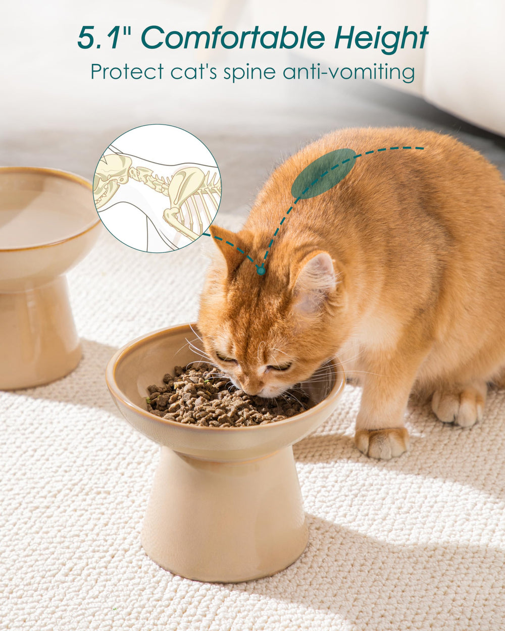 Protección de bigotes con tazones anchos Vancasso para gatos.