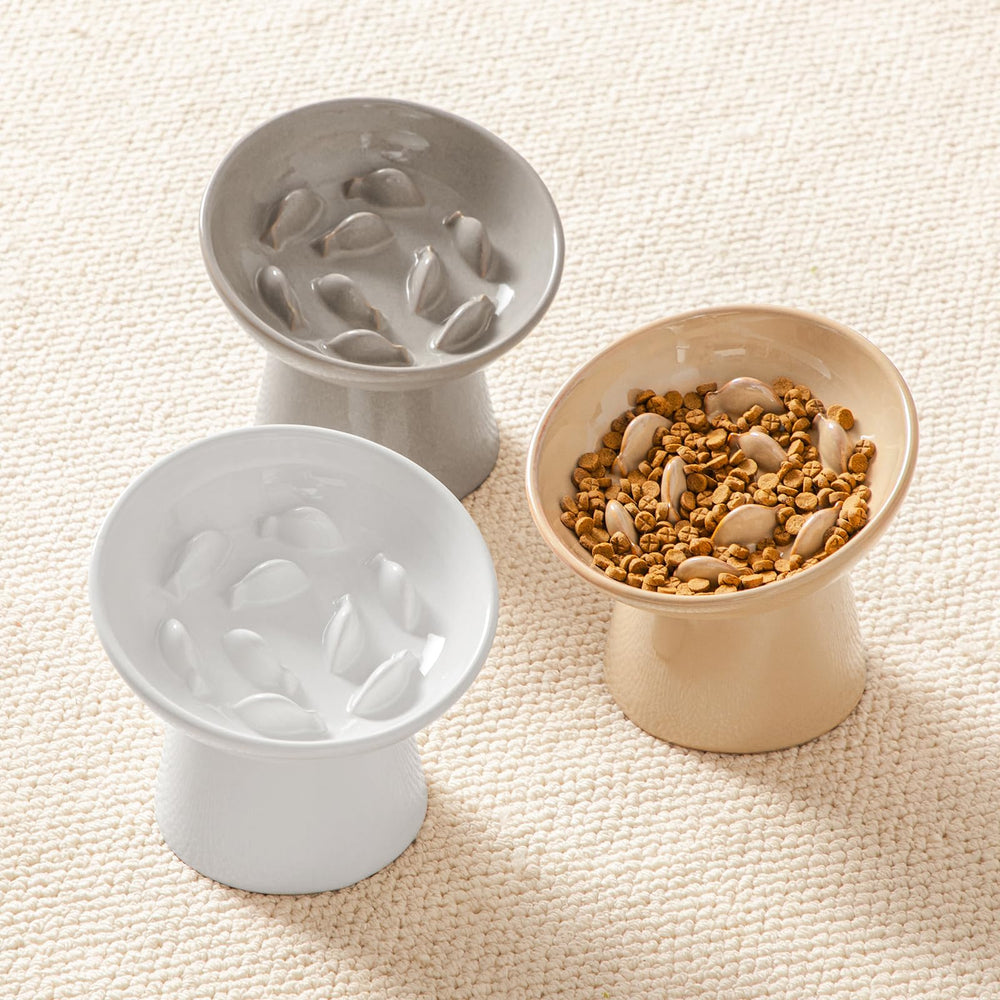 Cuenco anti vómitos de Vancasso para gatos, cómodo durante la comida diaria.