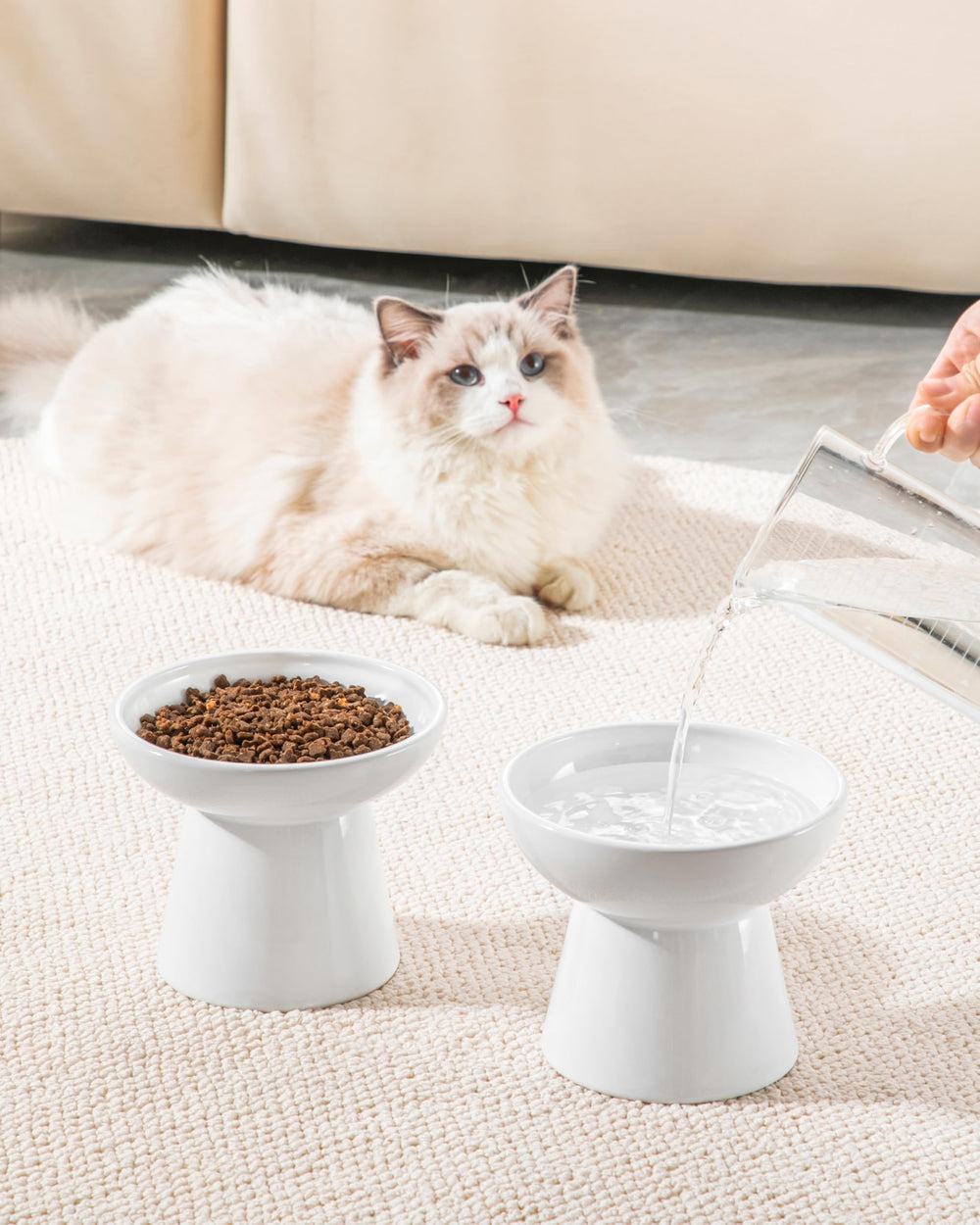 Conjunto para gatos y perros pequeños de Vancasso, ideal para interiores.