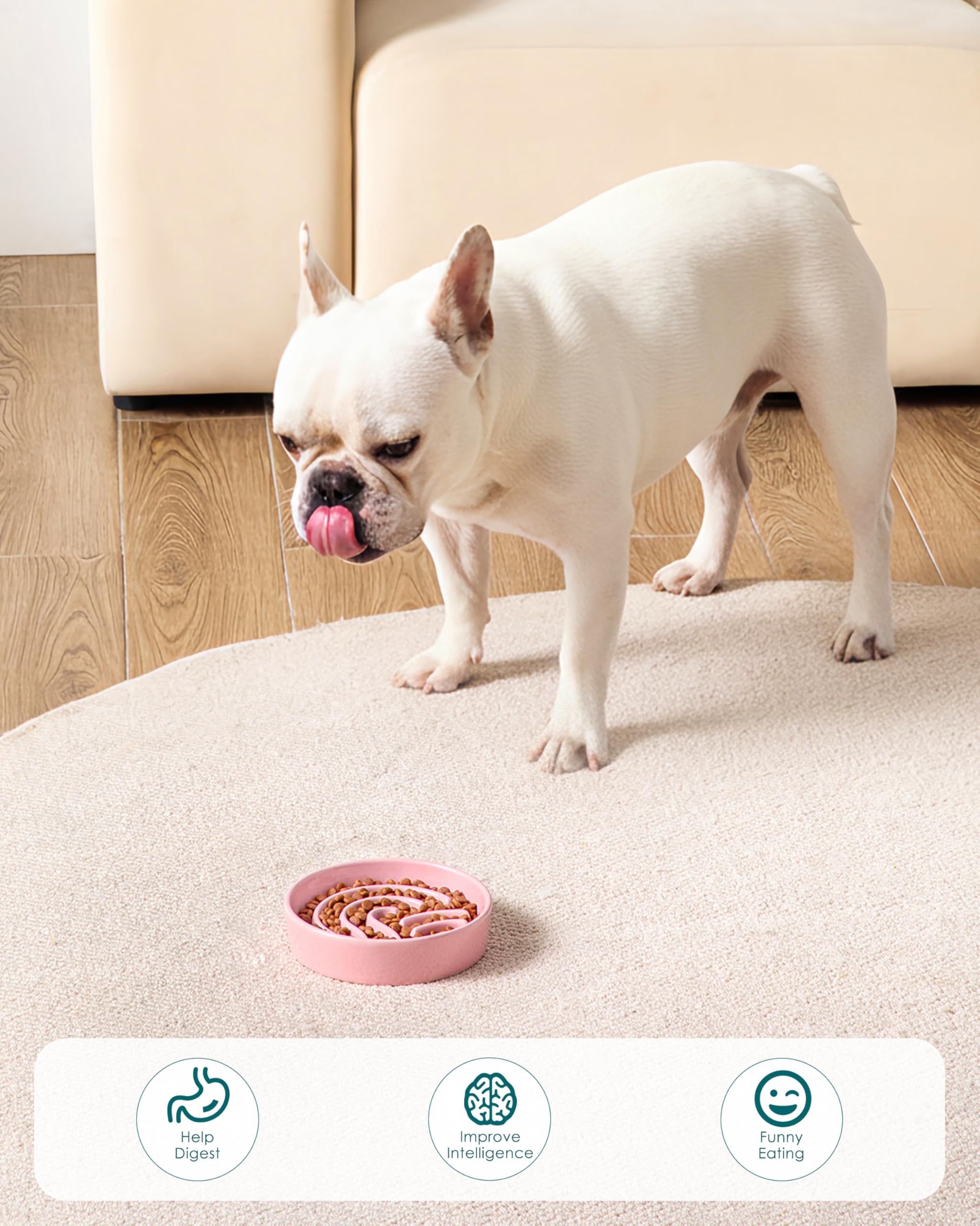 Vancasso uso diario para perros pequeños en color rosa