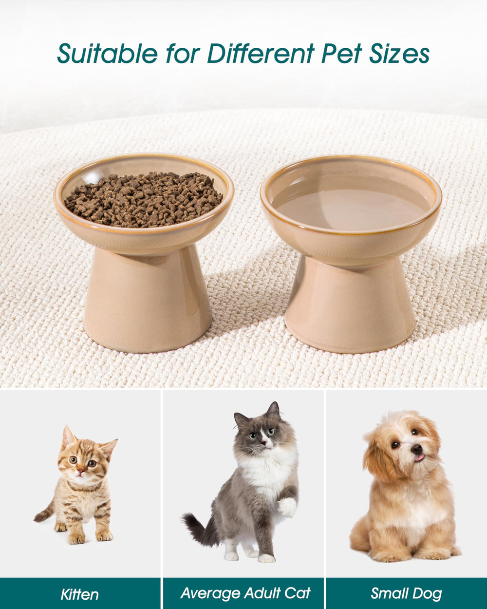 Apto para gatos y perros pequeños con tazones versátiles Vancasso.