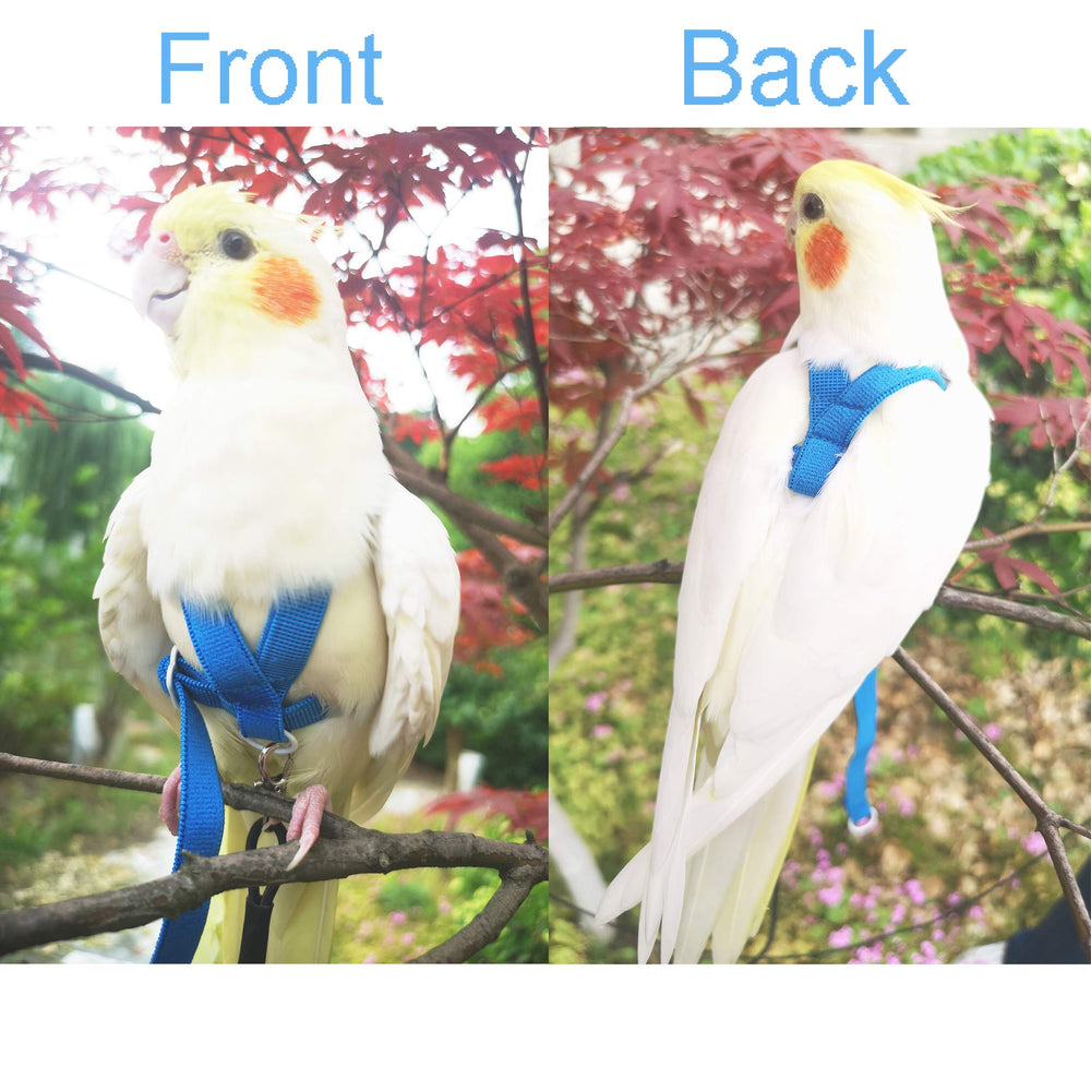 Diseño ergonómico VANFAVORI para aves, cuidado de plumas y comodidad.