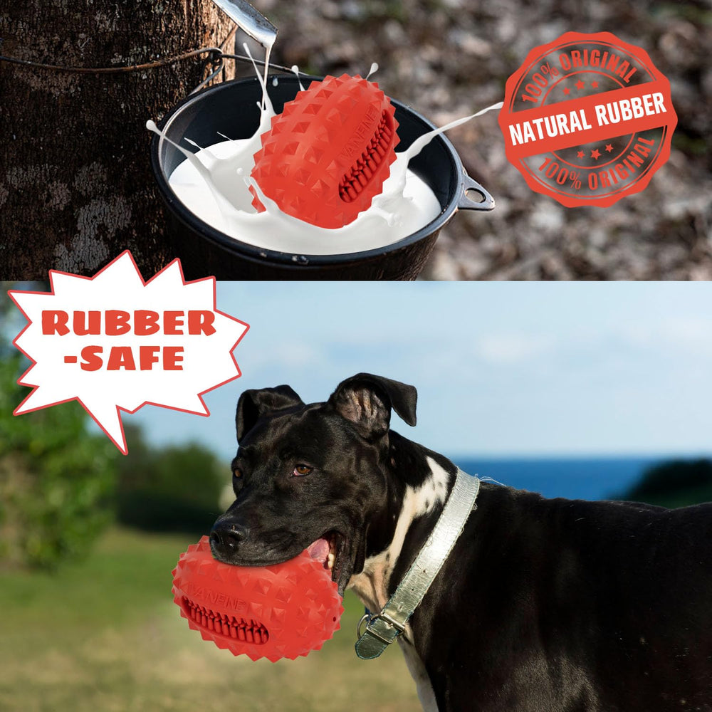 VANFINE: juego al aire libre para perros activos y grandes, perfecta dinámica de persecución.