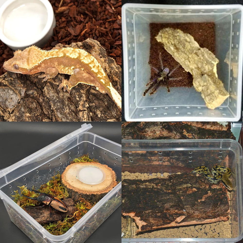 Corteza para reptiles VCEPJH, apta para tortugas, serpientes y lagartos.