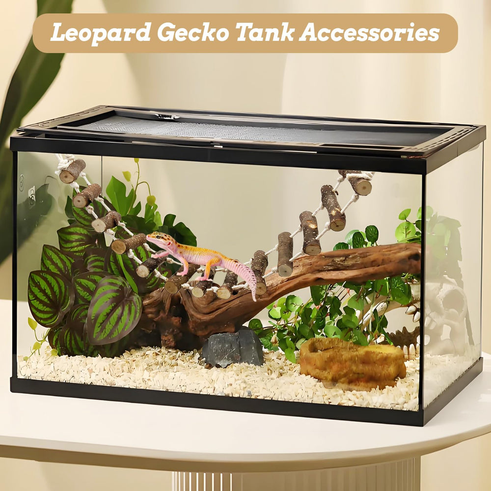 Segundo puente de reptiles VCEPJH, fijación estable para el terrario del gecko leopardo.