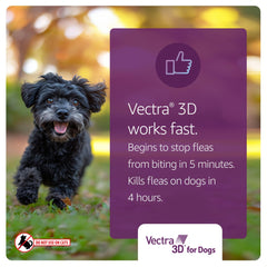 Vectra 3D para perro extra pequeño, aplicación tópica de secado rápido y a prueba de agua.