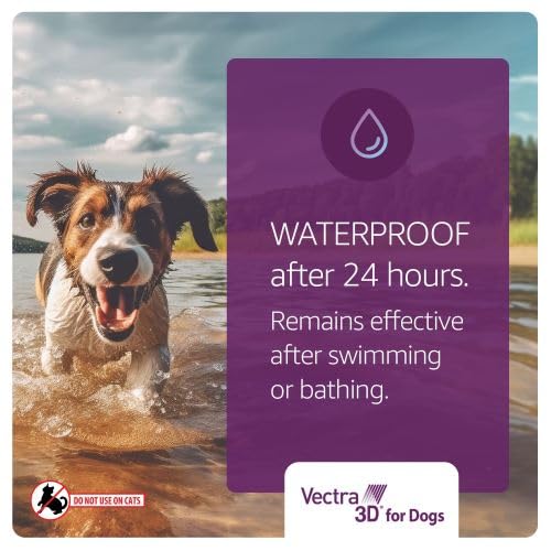 Vectra 3D para perro extra pequeño, ideal para paseos diarios en casa.