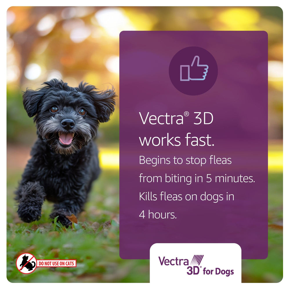 Vectra 3D se seca rápido y no deja sensación grasa