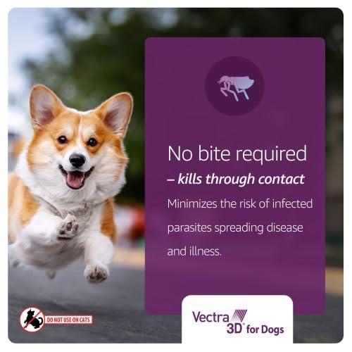 Vectra 3D no requiere receta para uso en perros medianos