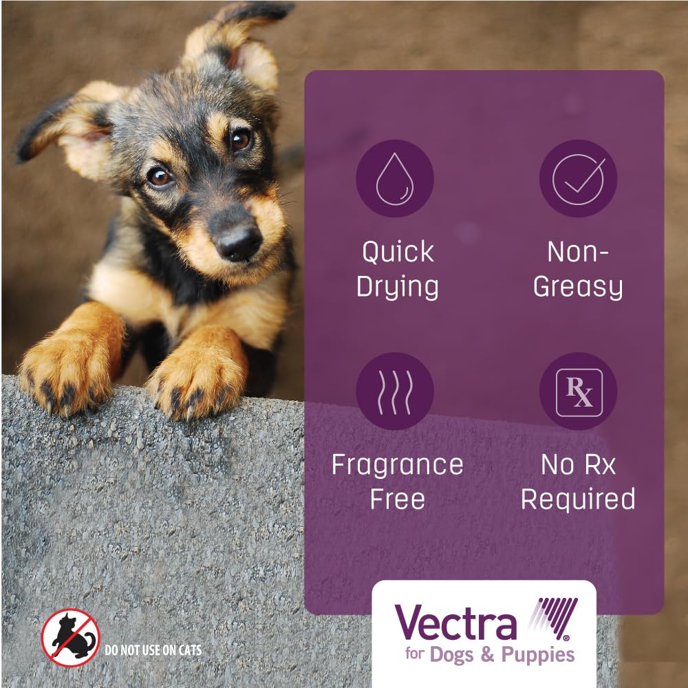 Vectra para perros y cachorros, compatible con hogares mixtos.
