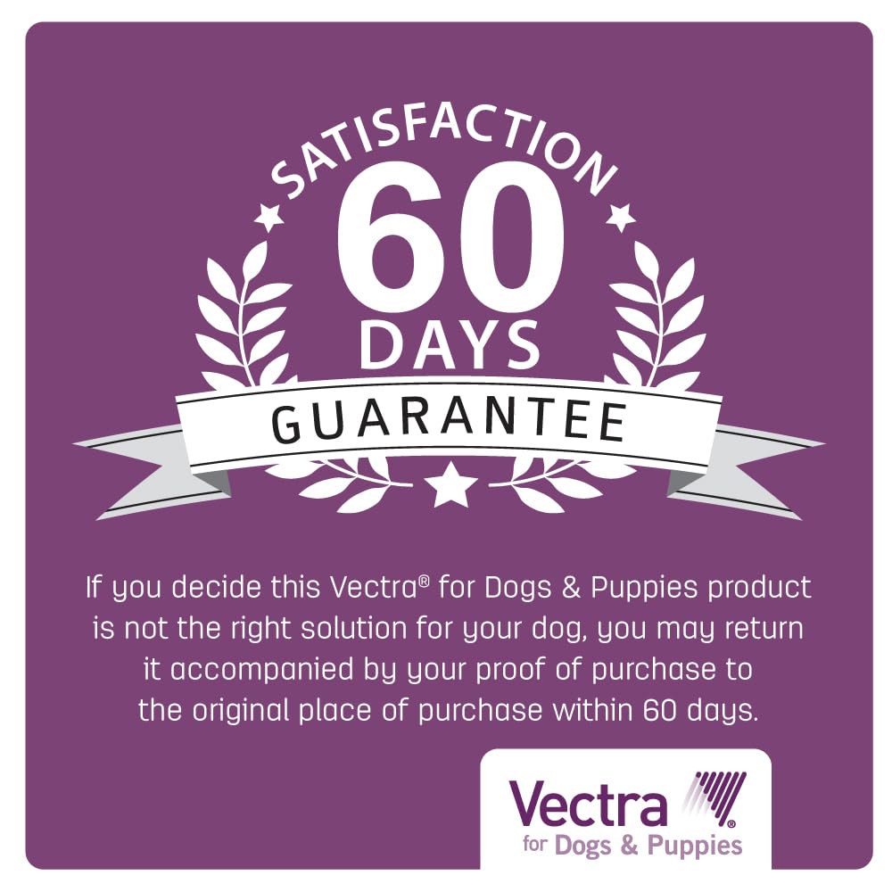 Perro grande con protección de pulgas gracias a Vectra.