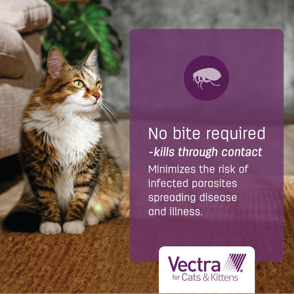 Fórmula sin fragancia para gatos y gatitos sensibles.