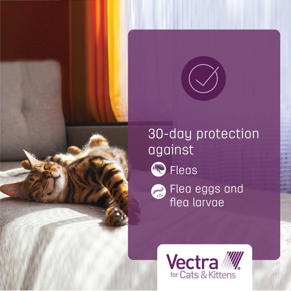 Apto para uso en interiores y exteriores con Vectra.