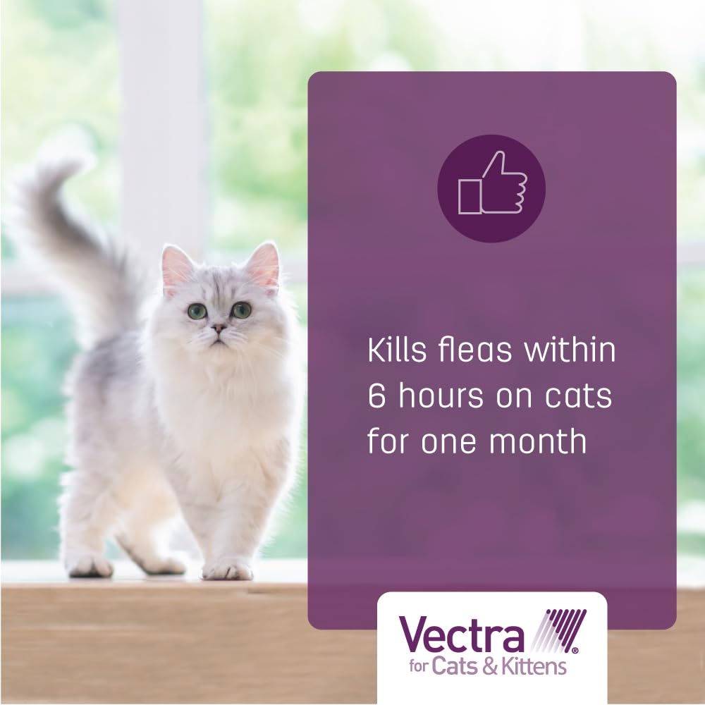 Vectra Gatos Grandes, aplicación rápida y seca sin grasa.