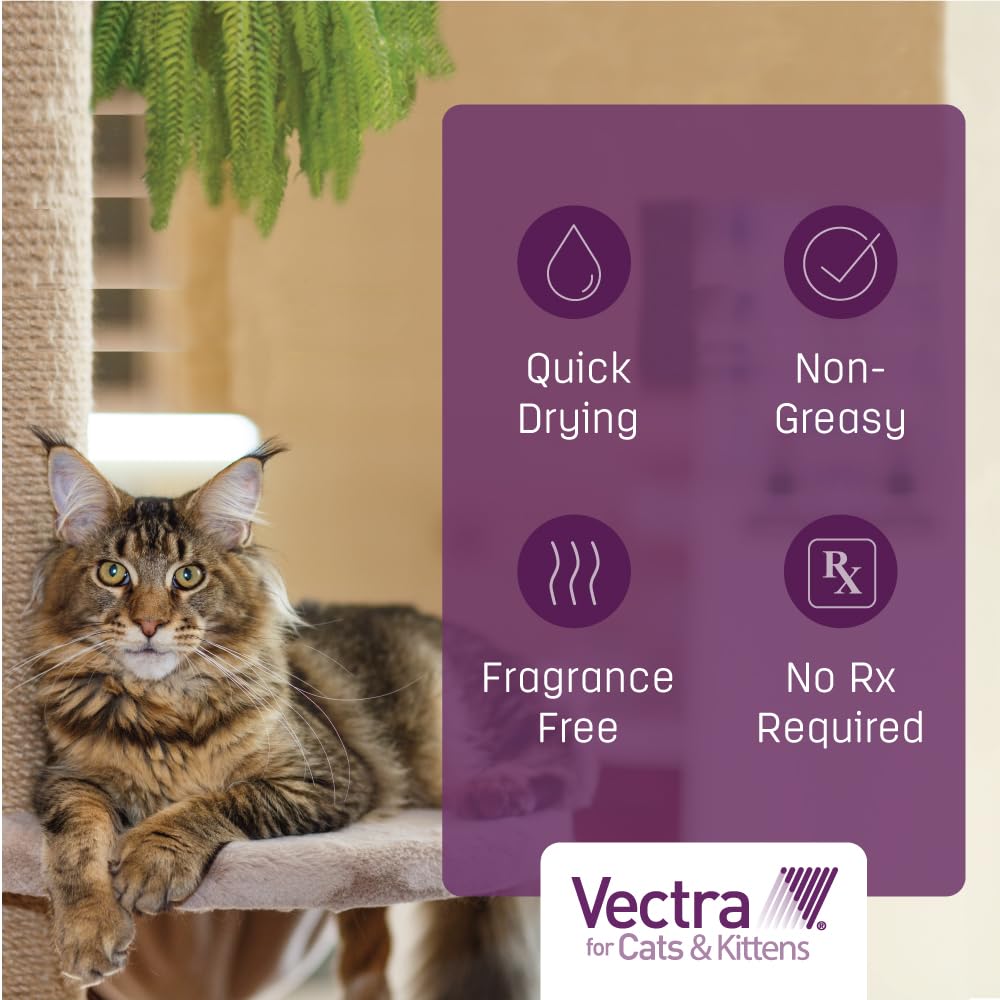 Vectra para gatos, disponibles packs de 3 o 6 para no olvidar.
