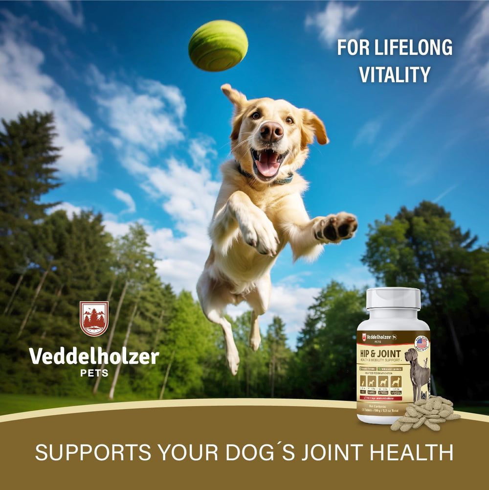 Veddelholzer seguridad y uso sencillo para articulaciones de perros