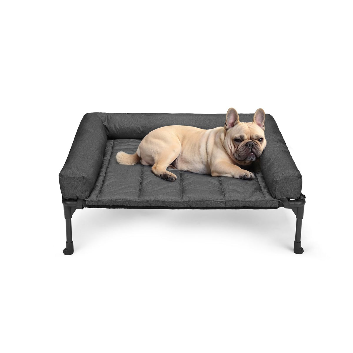 Cama elevada Veehoo para perro con estructura sólida para descanso estable.