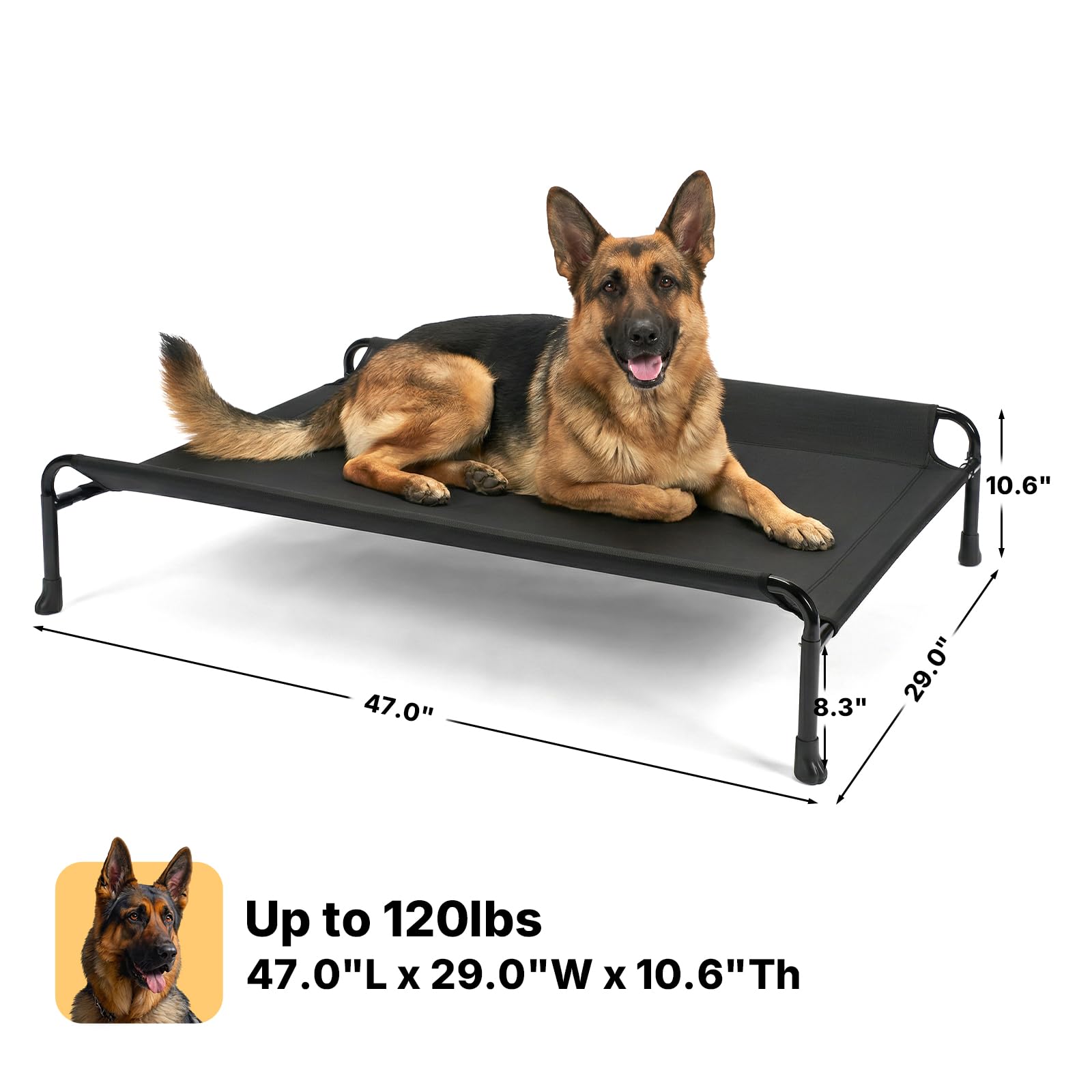 Cama Veehoo para perros grandes, ideal para interiores o camping