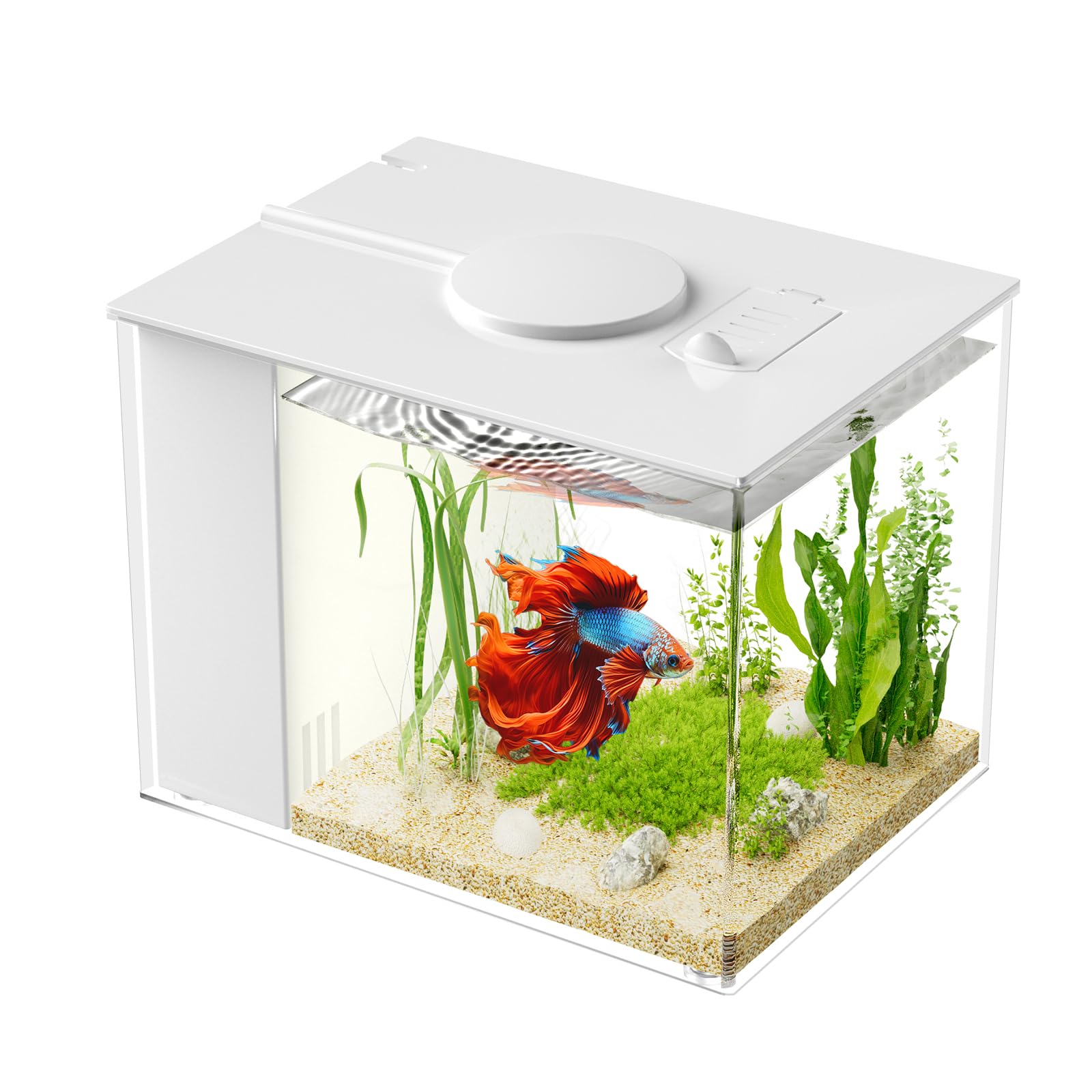 Vehipa acuario nano de 3.7L, ideal para escritorio y espacios reducidos.