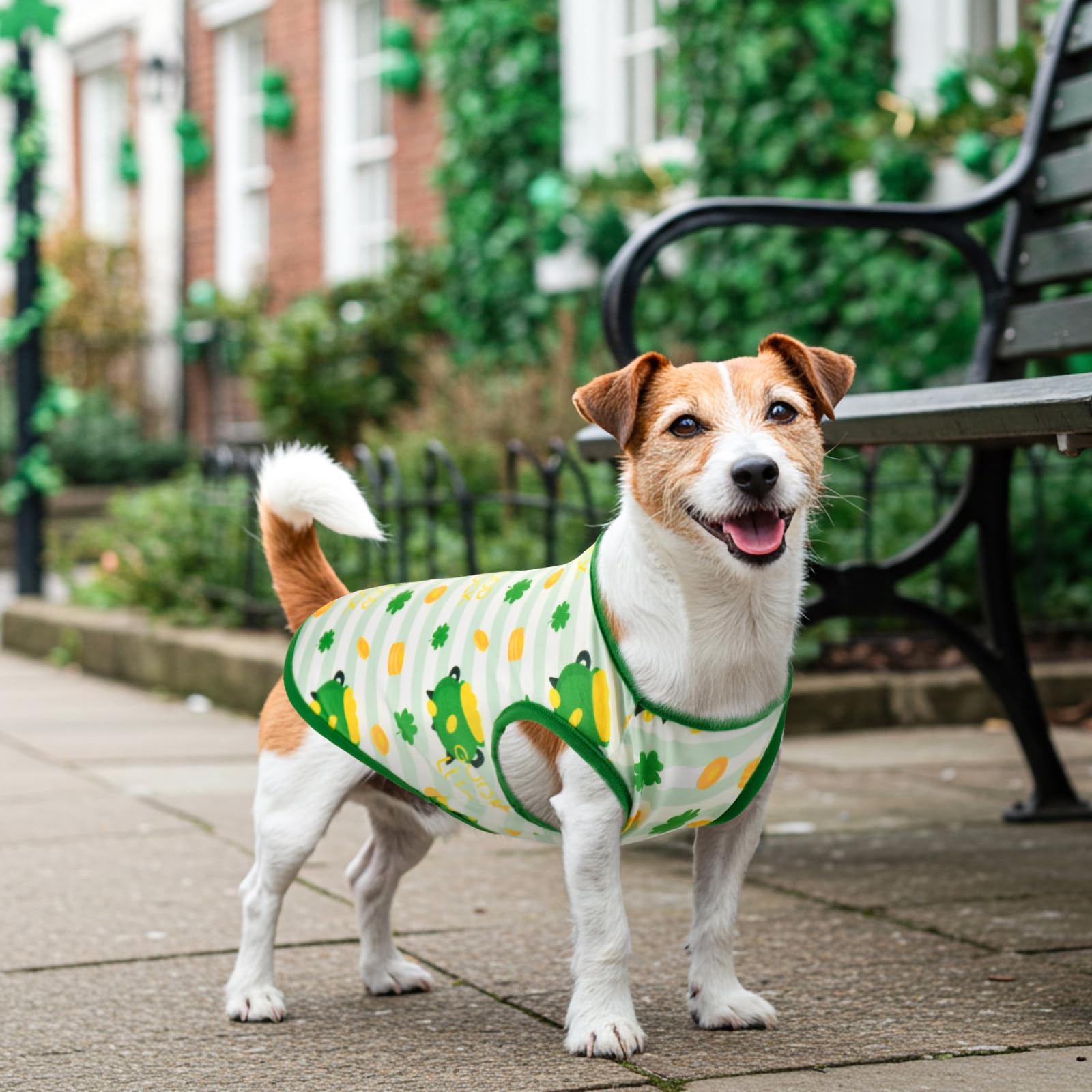 Camisetas Vehomy para perros talla media, colores vivos.
