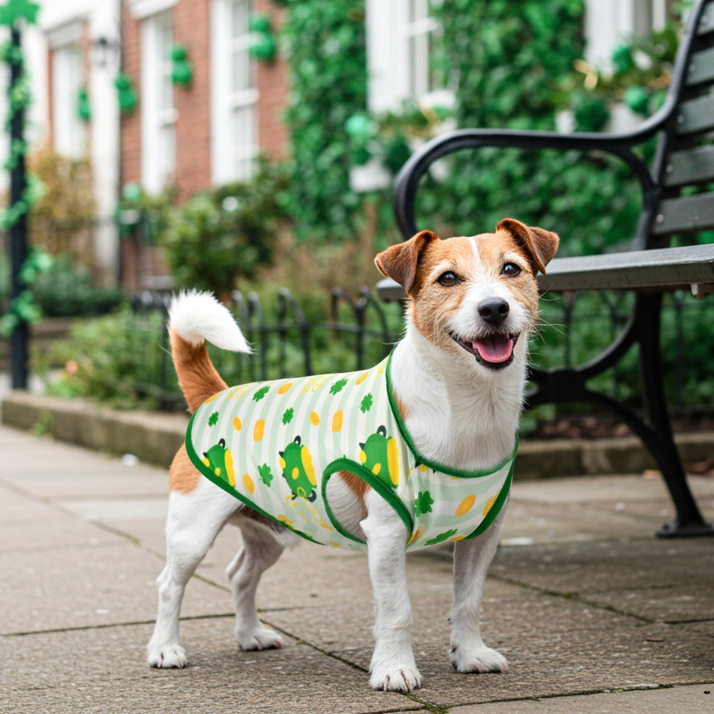 Camisetas Vehomy para perros talla media, colores vivos.