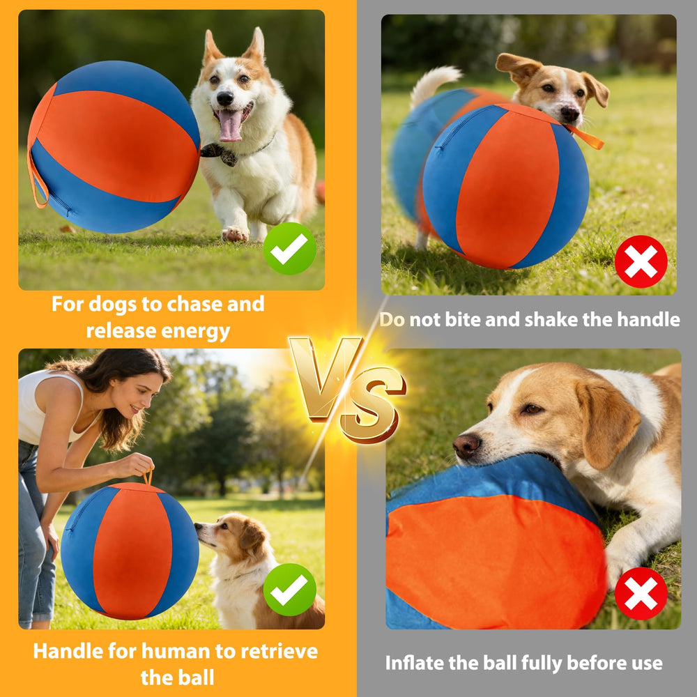 Velupet Zoom bola para perros estimula juego activo y exploración.