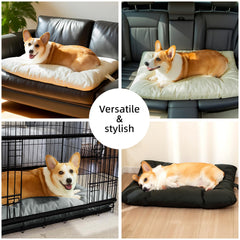 VERABE cama resistente a manchas y pelo, facilita la limpieza.