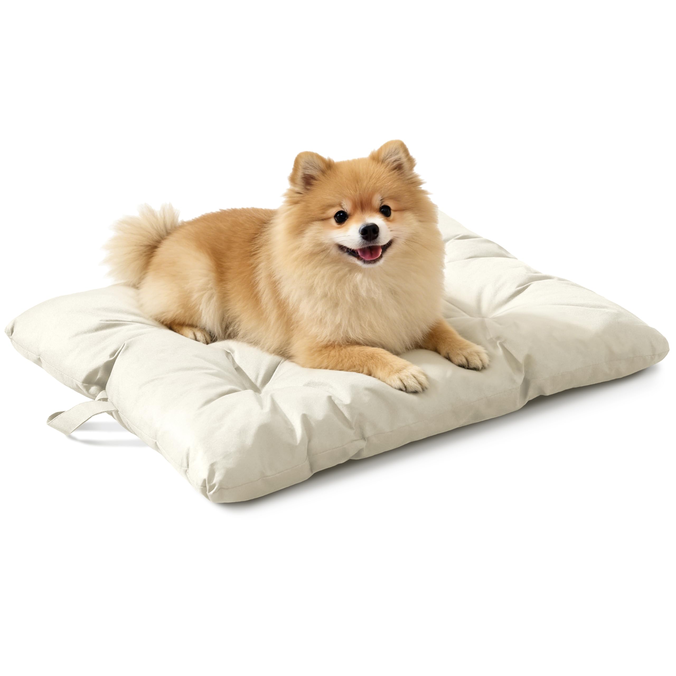 VERABE cama para perro resistente a masticar 29x18, ideal para perros que muerden.