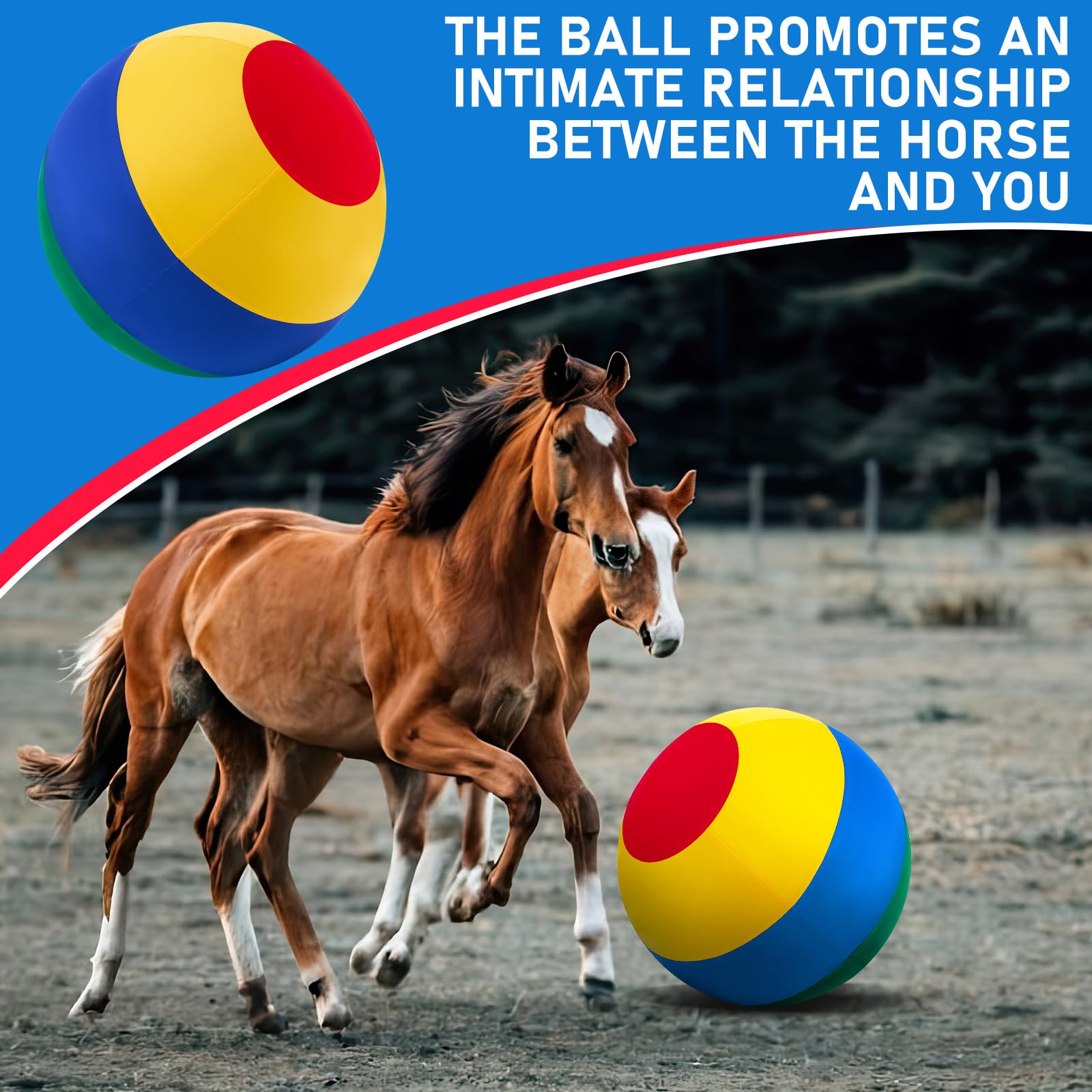 Conjunto de bola y funda VercanMonth para caballos.