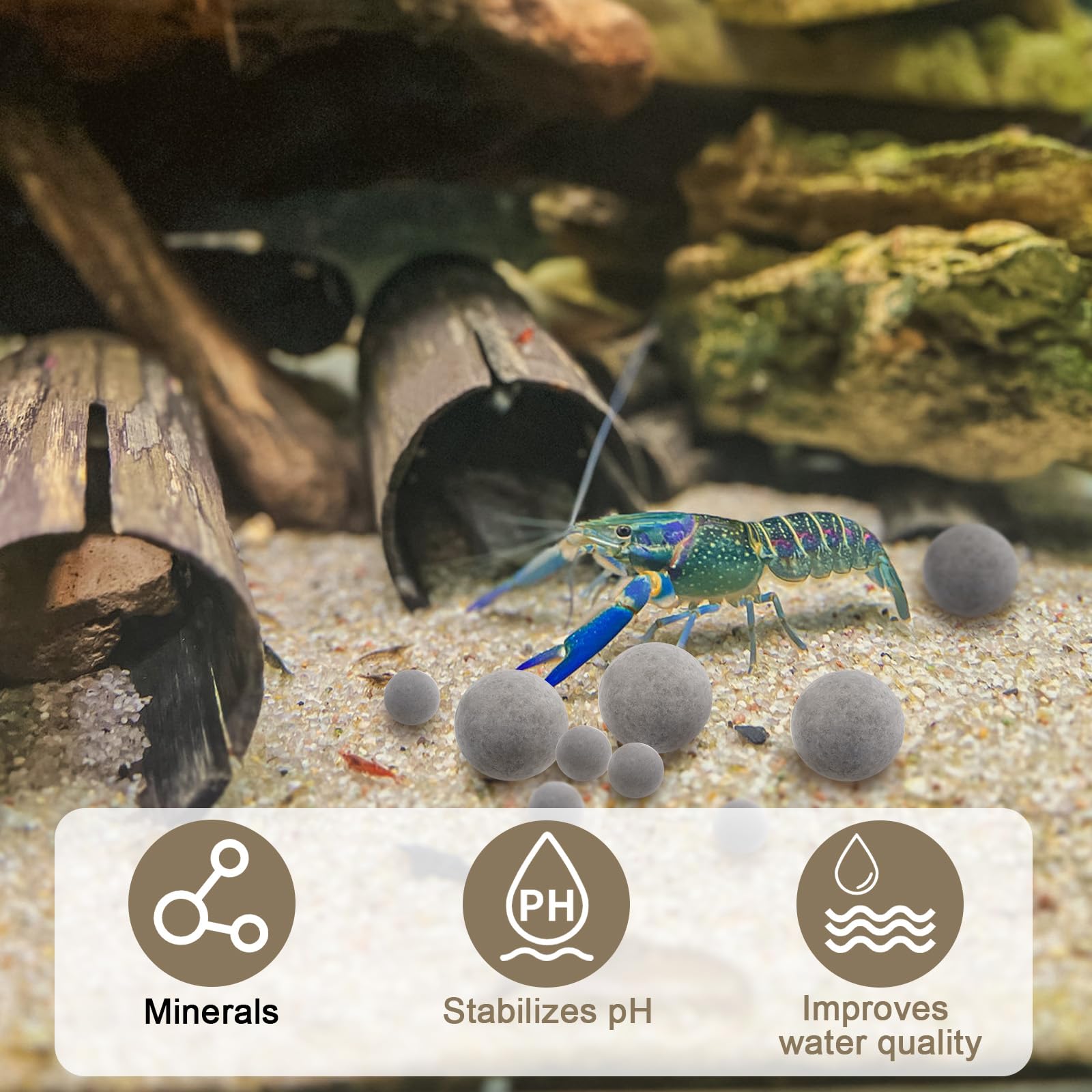 Verplexter Tourmalina para camarones: empaque atractivo para acuaristas