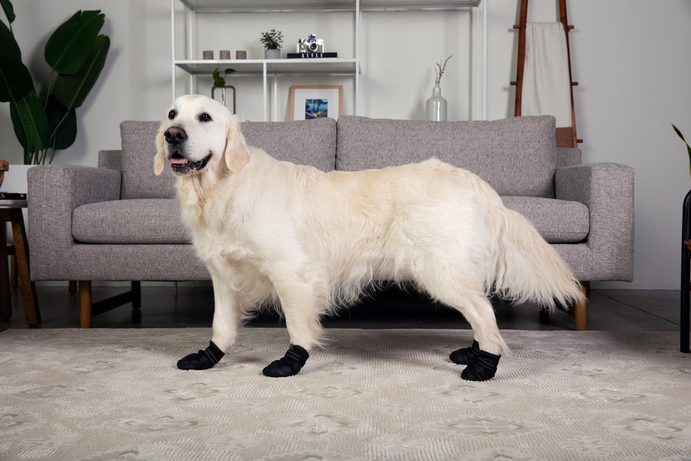 Versa Vine botas para perro en terreno rocoso, durabilidad para aventuras.