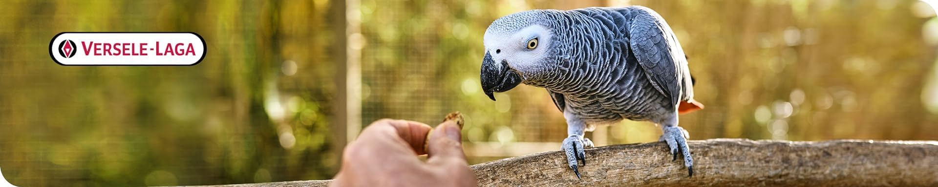 Versele-Laga VL Goldenfeast Amazon Blend, servir-en-plato para aves con variedad.