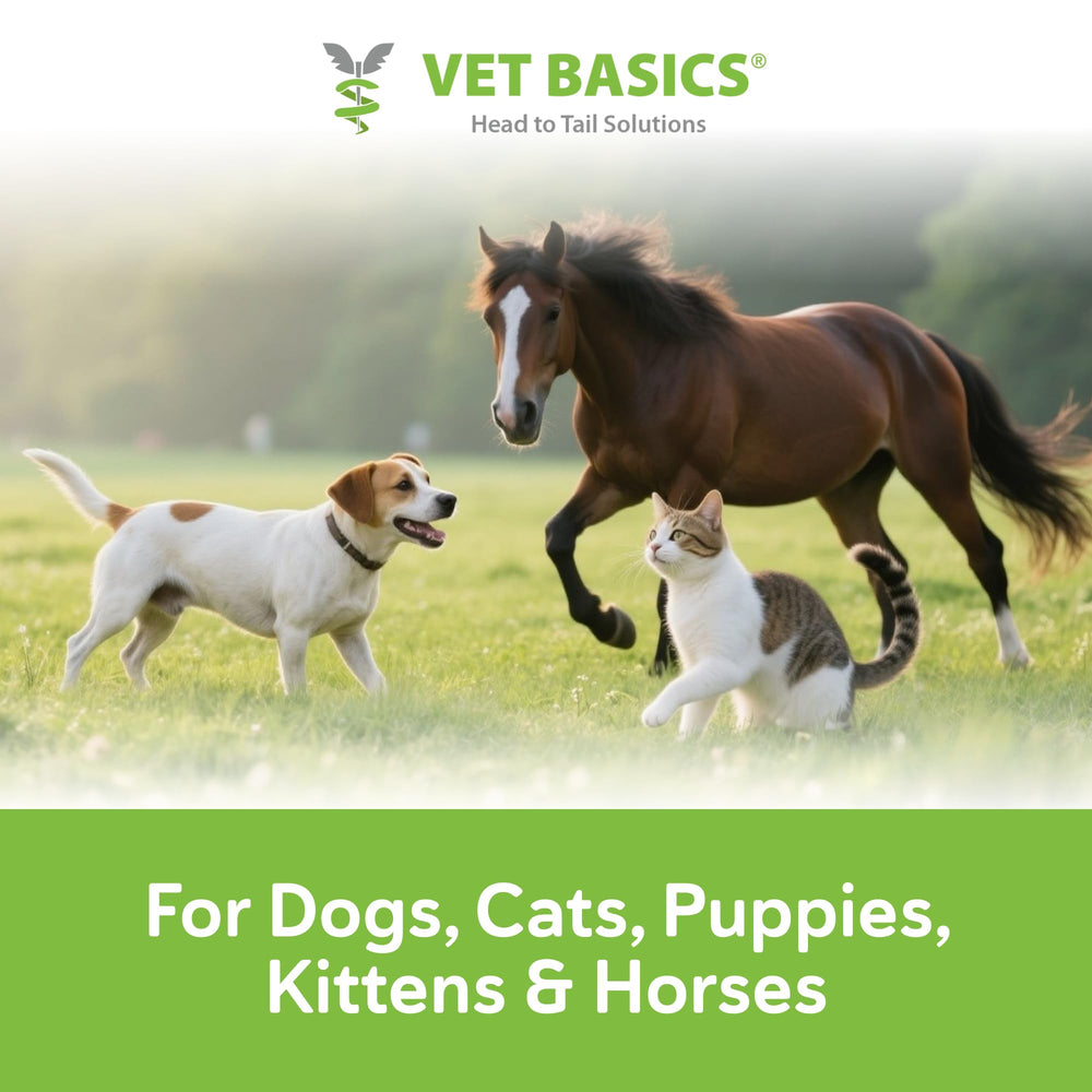 Vet Basics Lime Sulfur Dip, esponja de aplicación para uso práctico.