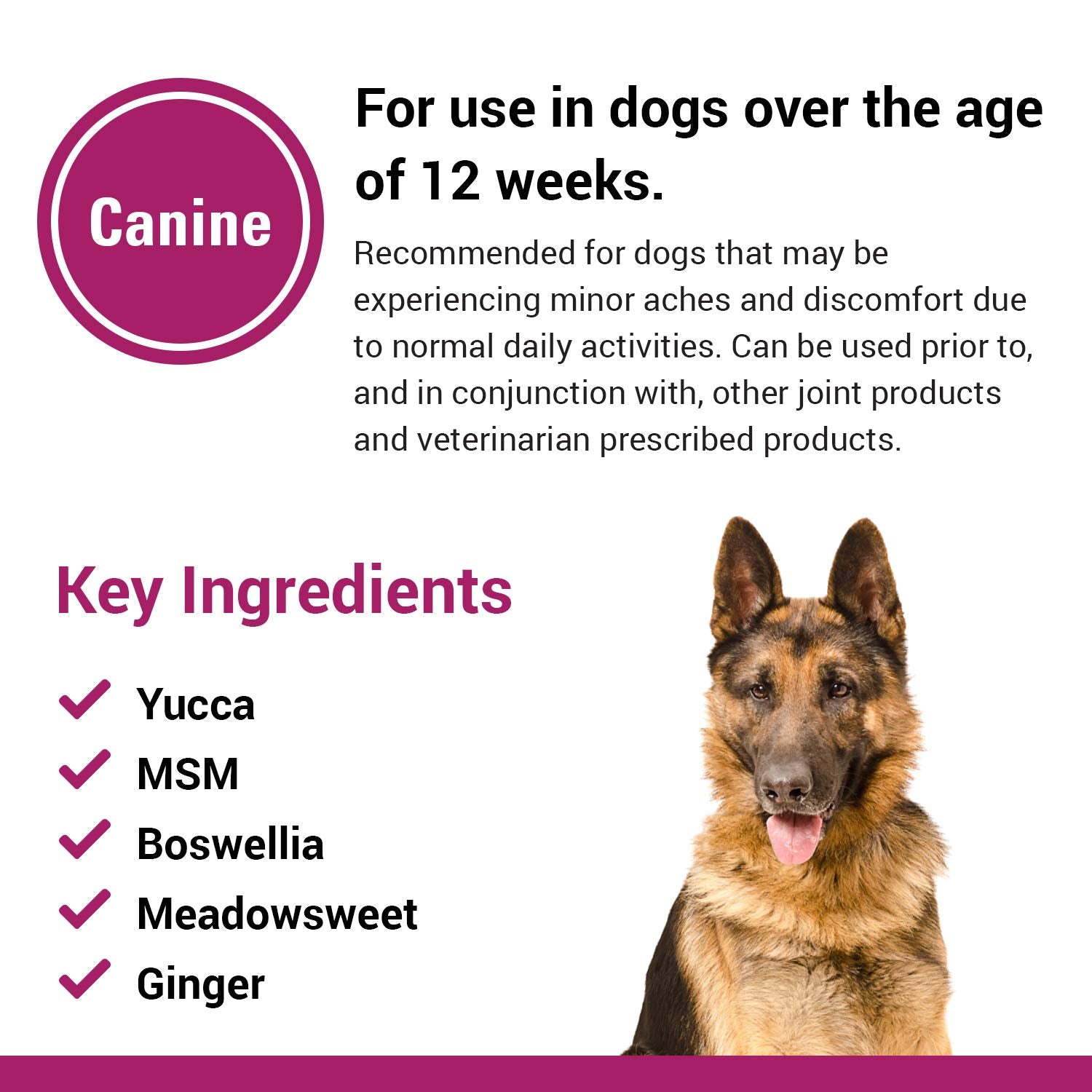 Ingredientes herbales: yucca y boswellia en Vet Classics Pain Plus para perros.