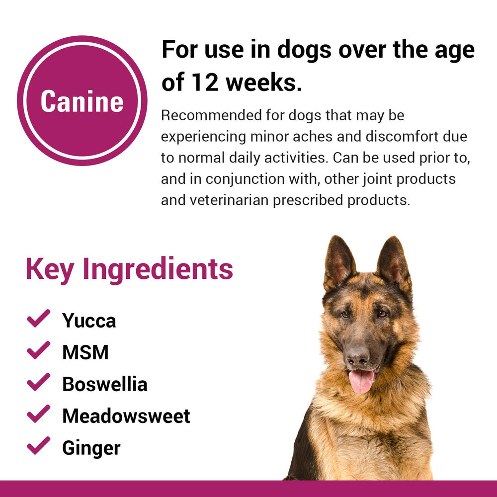 Ingredientes herbales: yucca y boswellia en Vet Classics Pain Plus para perros.