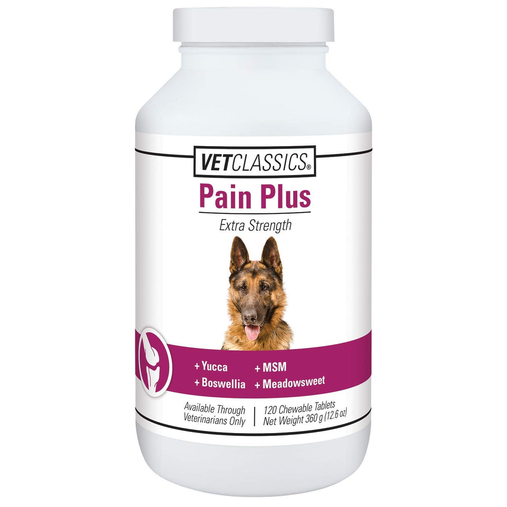 Vet Classics Pain Plus tabletas masticables para perros, posible alivio tras la actividad diaria.